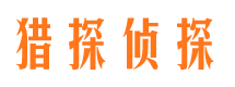 桐柏侦探